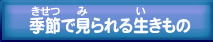 夏によく見られる生きもの