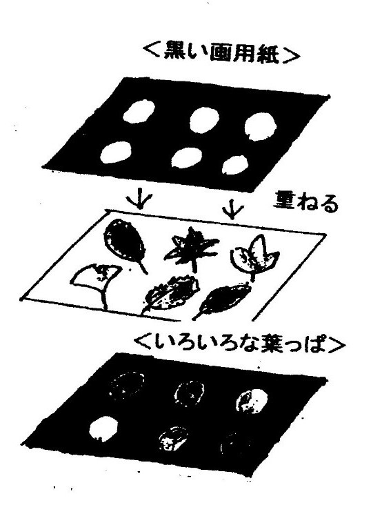 落ち葉のステンドグラス 日野市環境学習サポートクラブ ひの どんぐりクラブ