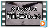 日野の自然　冬編